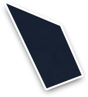 Felida