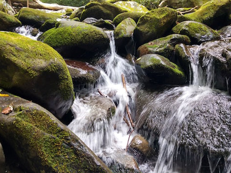Salmon Creek