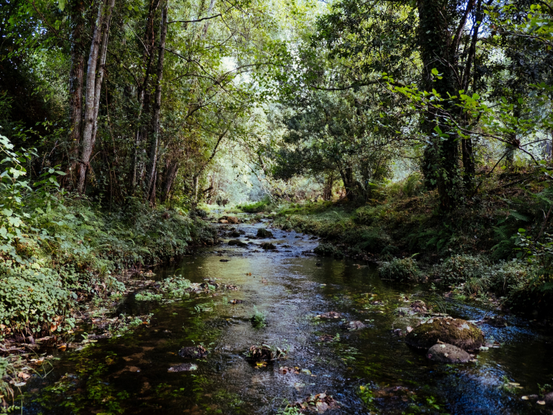 Burnt Bridge Creek